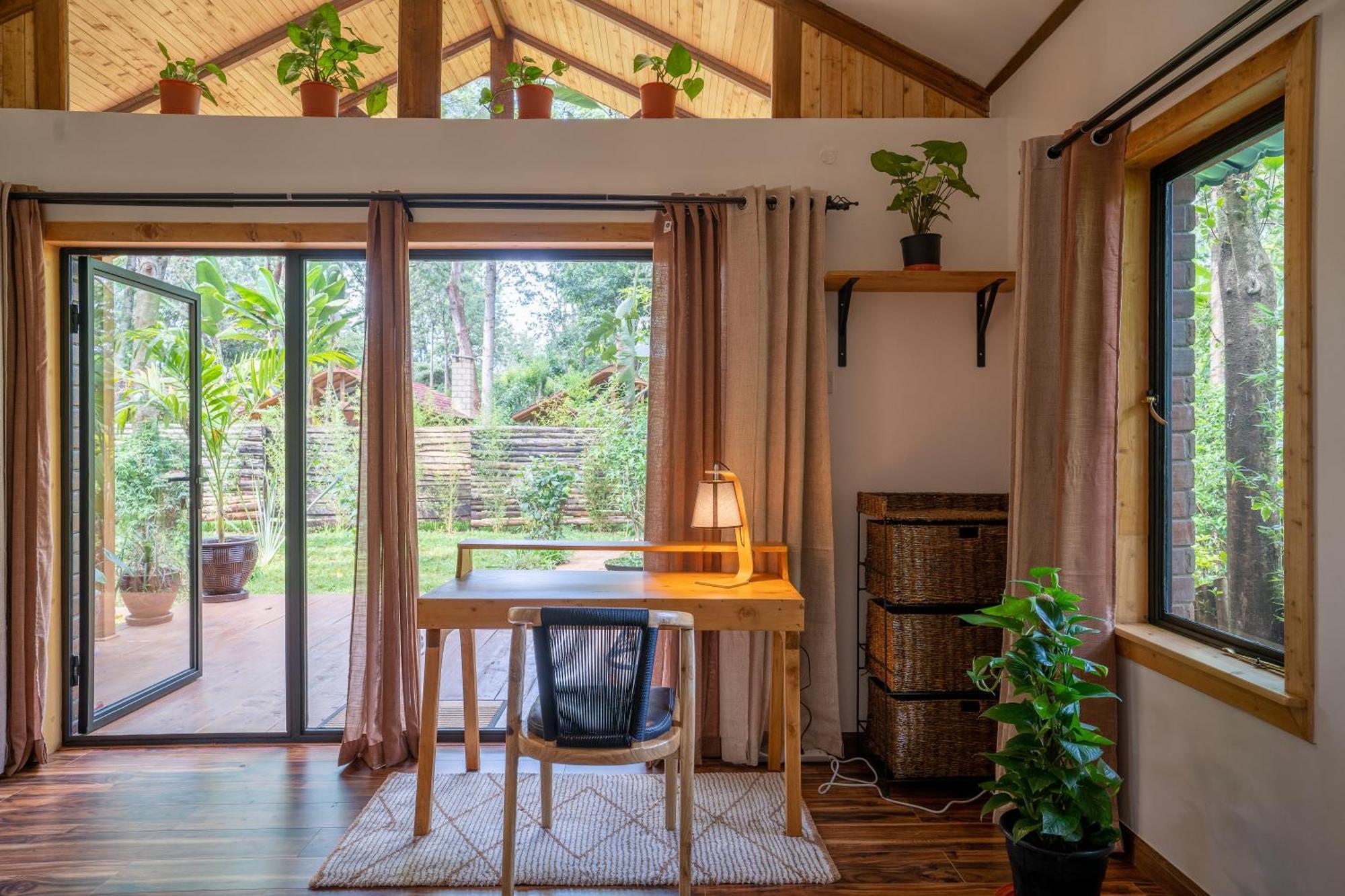 The Jungle Oasis With Heated Pool Lejlighed Nairobi Eksteriør billede