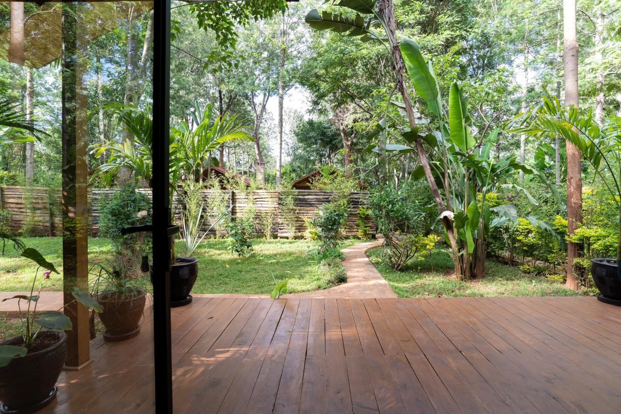 The Jungle Oasis With Heated Pool Lejlighed Nairobi Eksteriør billede