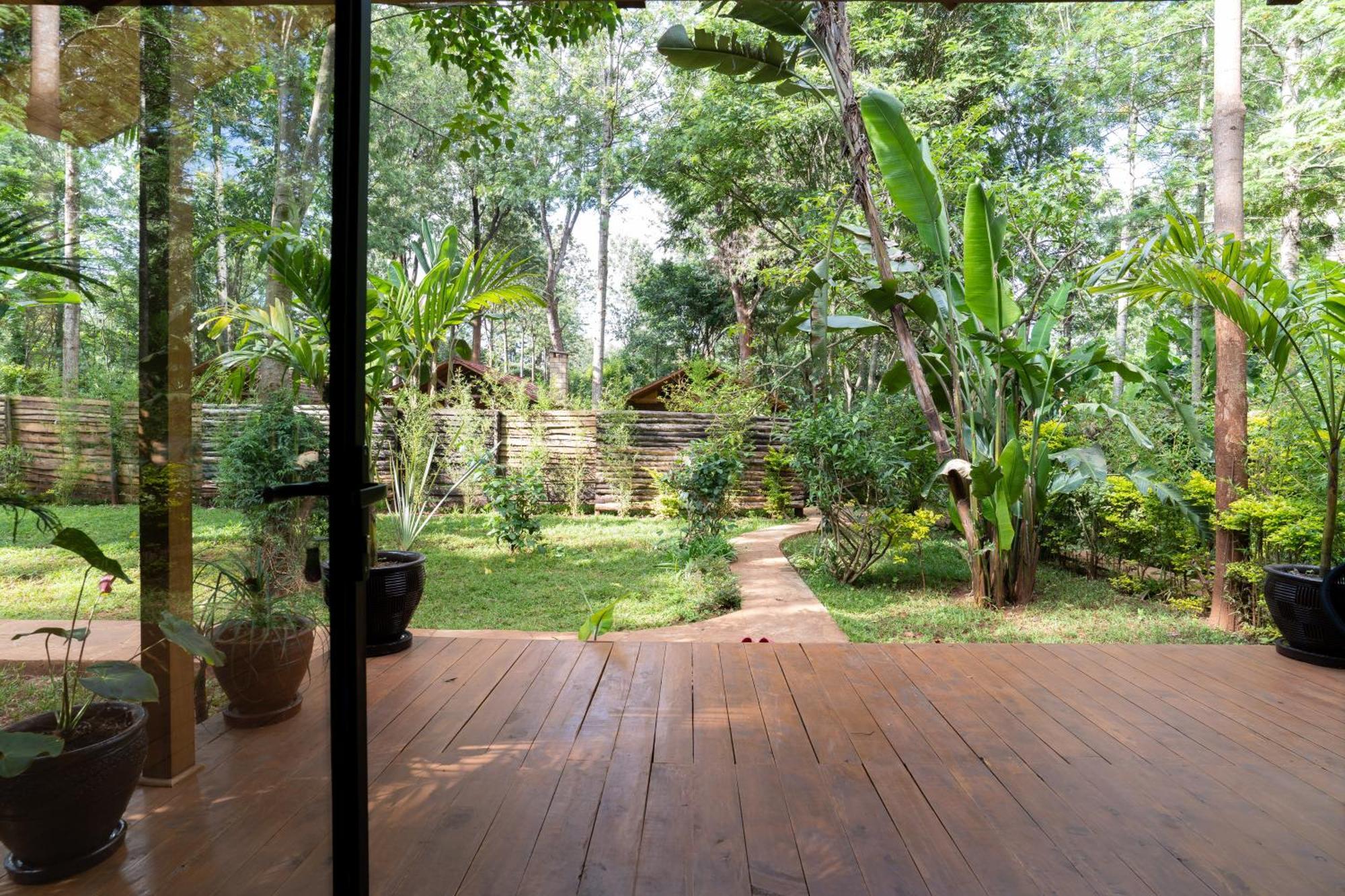 The Jungle Oasis With Heated Pool Lejlighed Nairobi Eksteriør billede